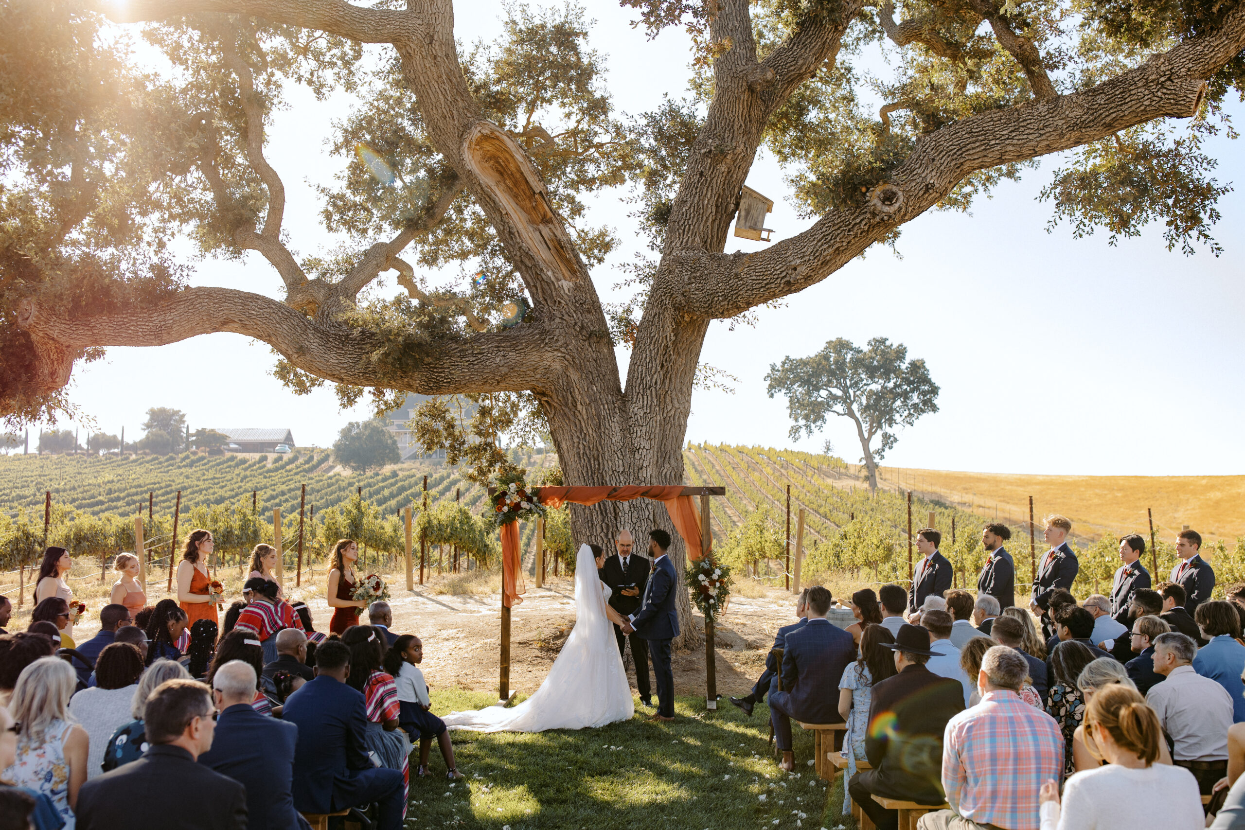 Couples exchange vows underneath beautiful oak tree in Paso Robles, California